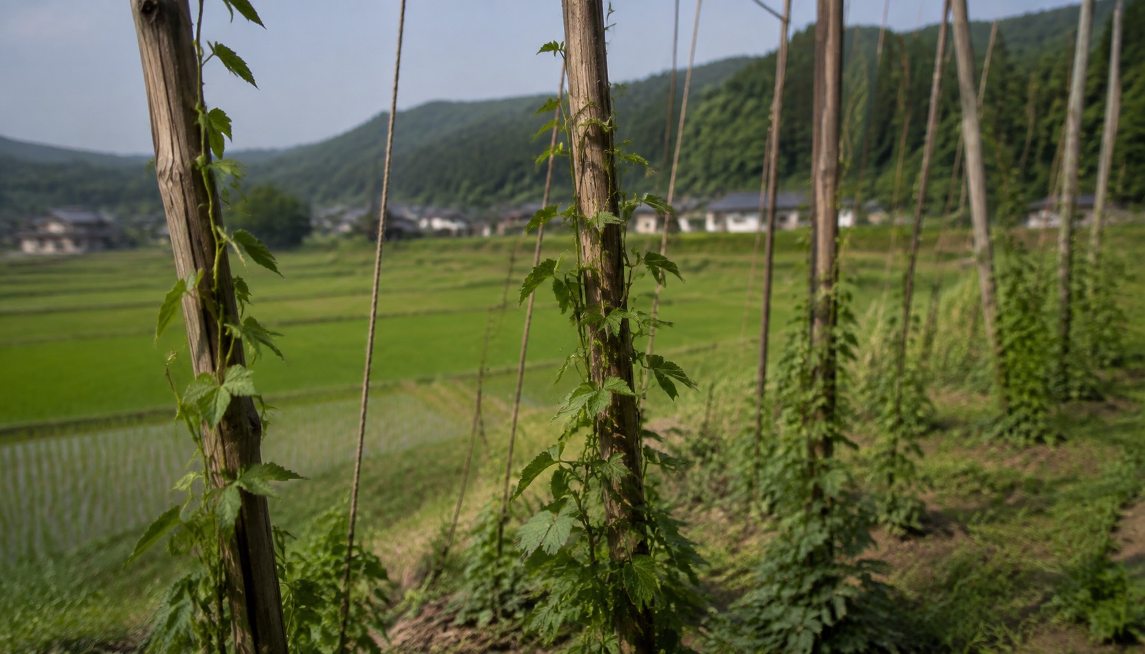 あぶくまビールを購入する方法