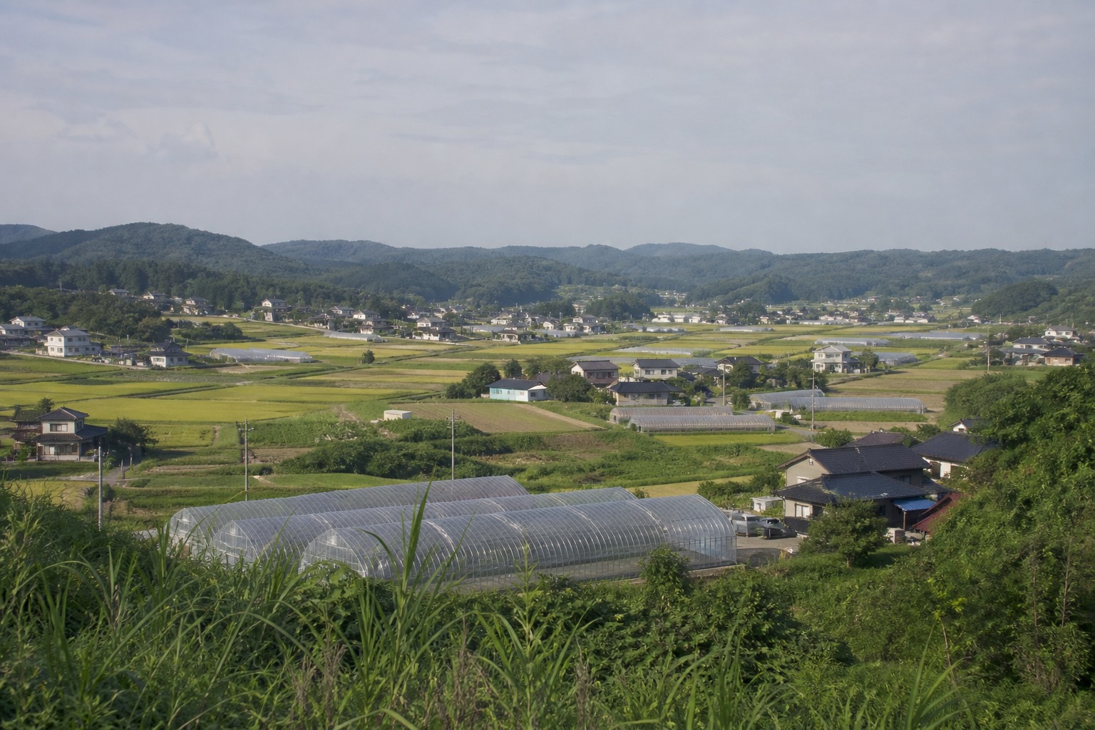 関連記事